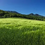 Casa vacanze Les Beaux Chenes