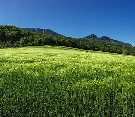 Hébergement de vacances Les Beaux Chenes