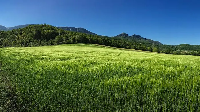 Сasa de vacaciones Les Beaux Chenes
