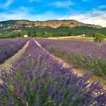 Les Beaux Chenes