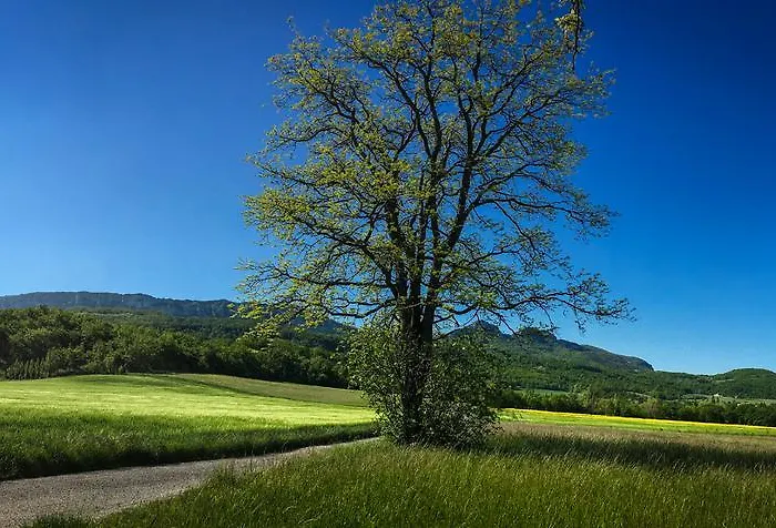 Ferienhaus Les Beaux Chenes *