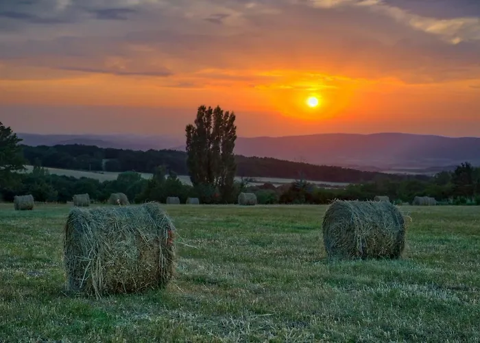 Ferienhaus Les Beaux Chenes Pont-de-Barret
